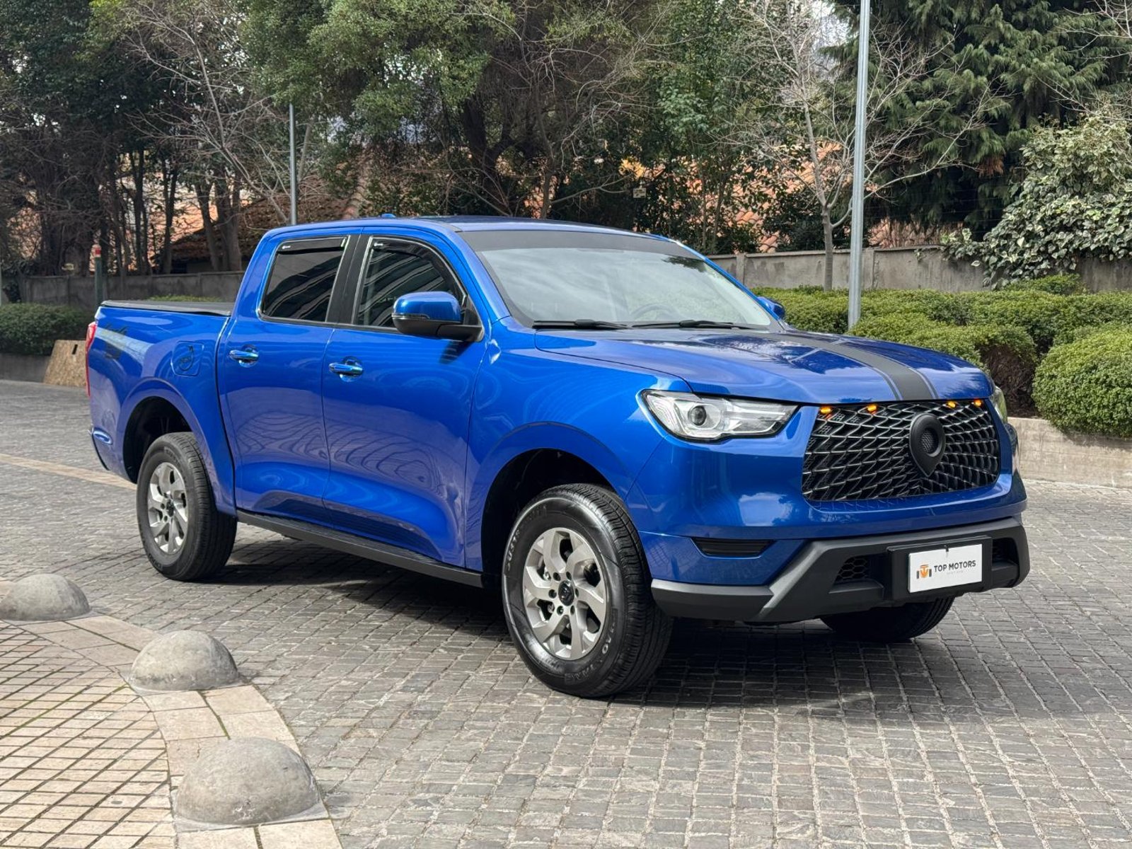 Great Wall POER 2025 - Imagen 3 de 19