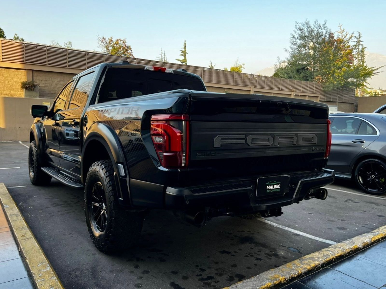 Ford F-150 RAPTOR 3.5 2025 - Foto 4 de 10