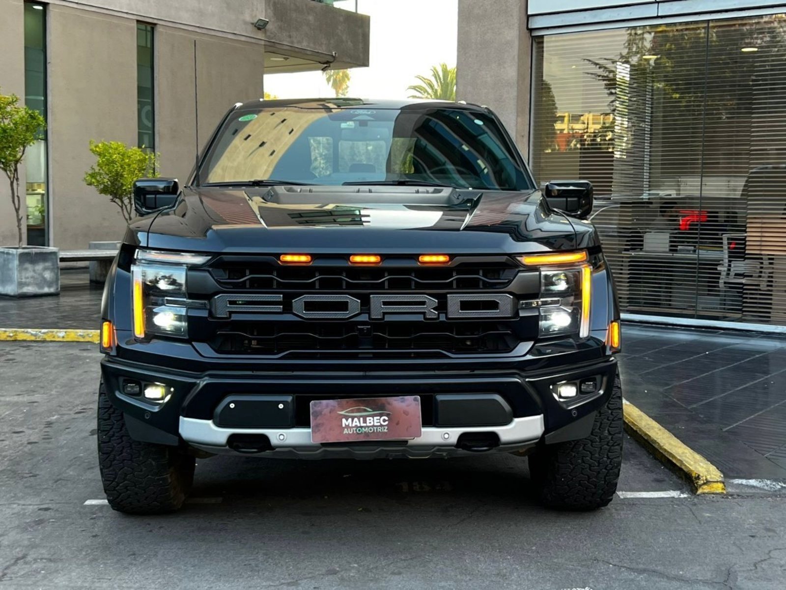 Ford F-150 RAPTOR 3.5 2025 - Foto 2 de 10