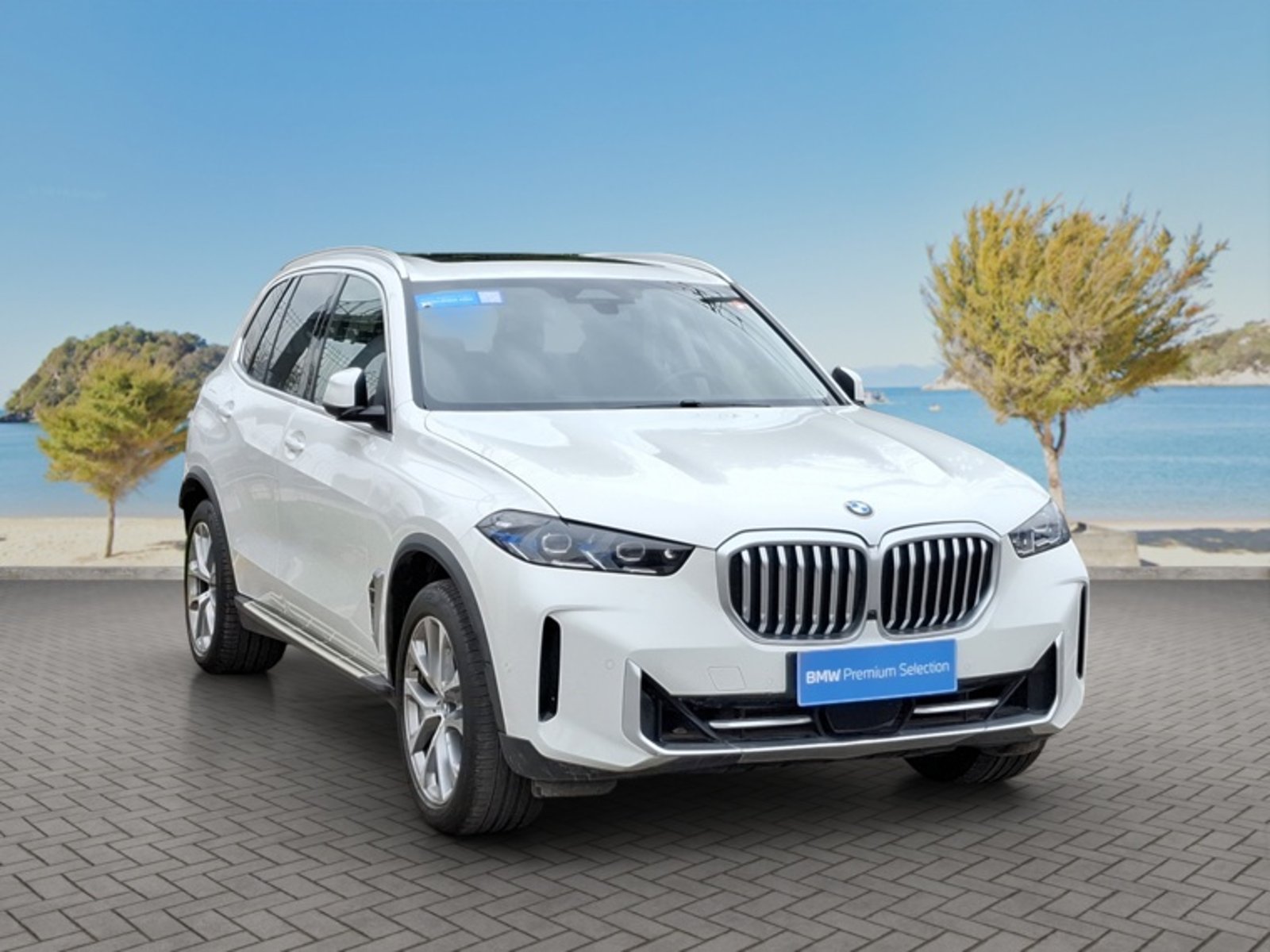 BMW X5 Xdrive30d Xline Lci Awd 3.0 Aut 2024 - Foto 3 de 19
