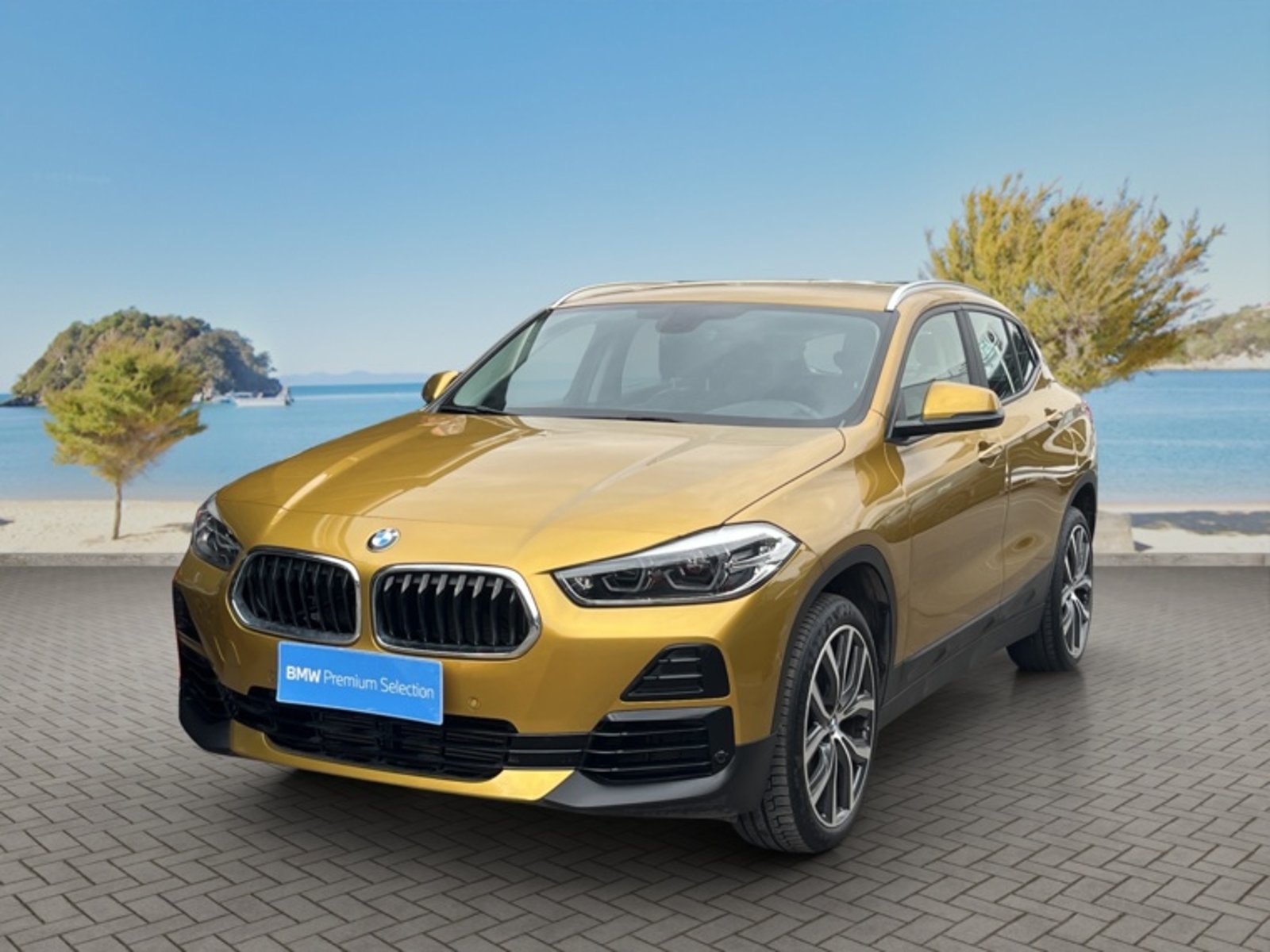 BMW X2 Sdrive 20i 2.0 At 2023 en Vitacura