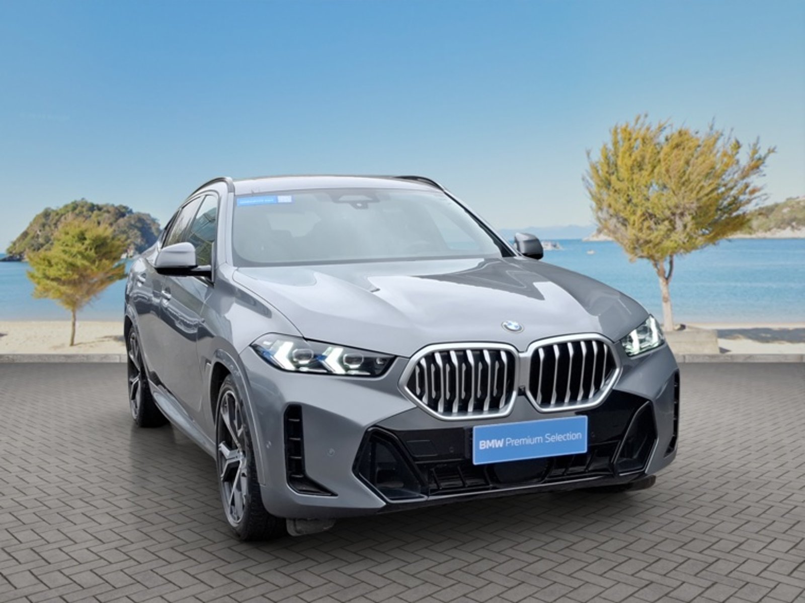 BMW X6 Xdrive 30d M Sport 4x4 3.0 Aut 2024 - Foto 3 de 16