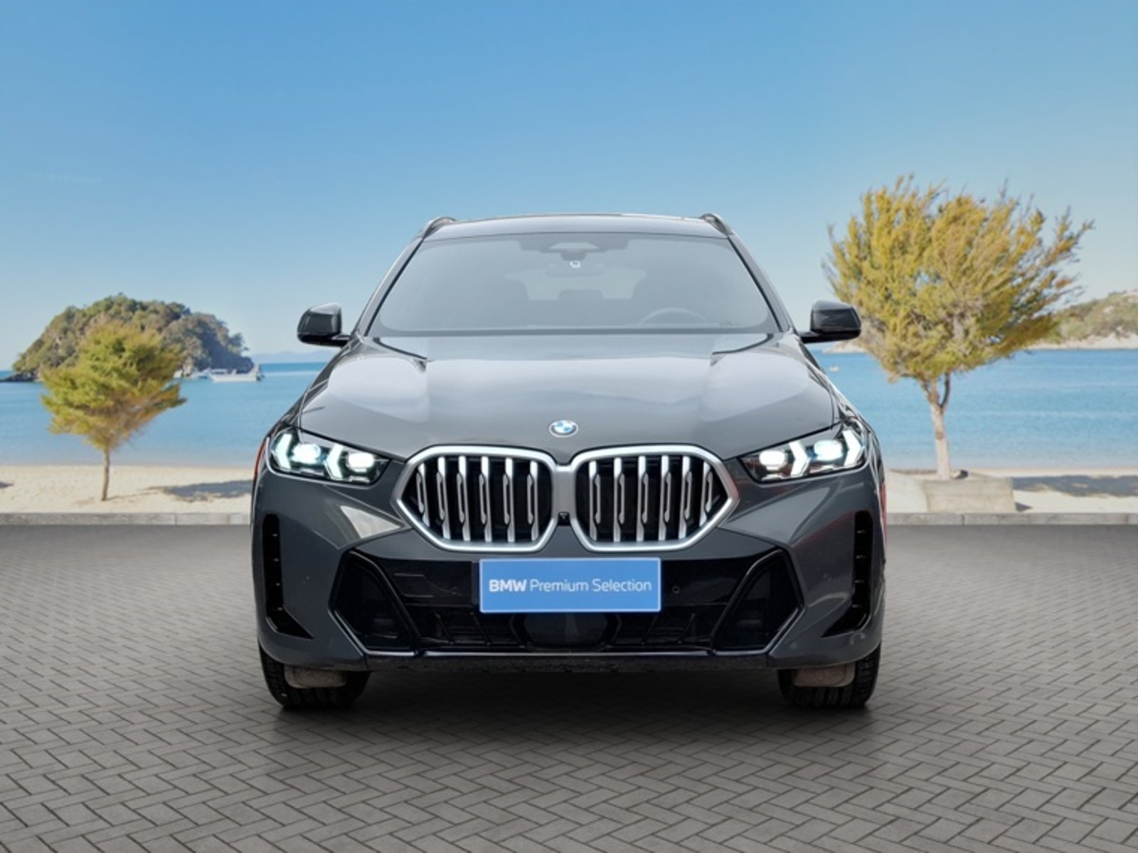 BMW X6 Xdrive 40i 5p 4x4 3.0 Aut 2026 - Foto 2 de 16