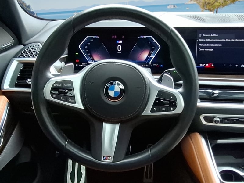 BMW X6 Xdrive 30d M Sport 3.0 Aut 2024 - Imagen 16 de 16