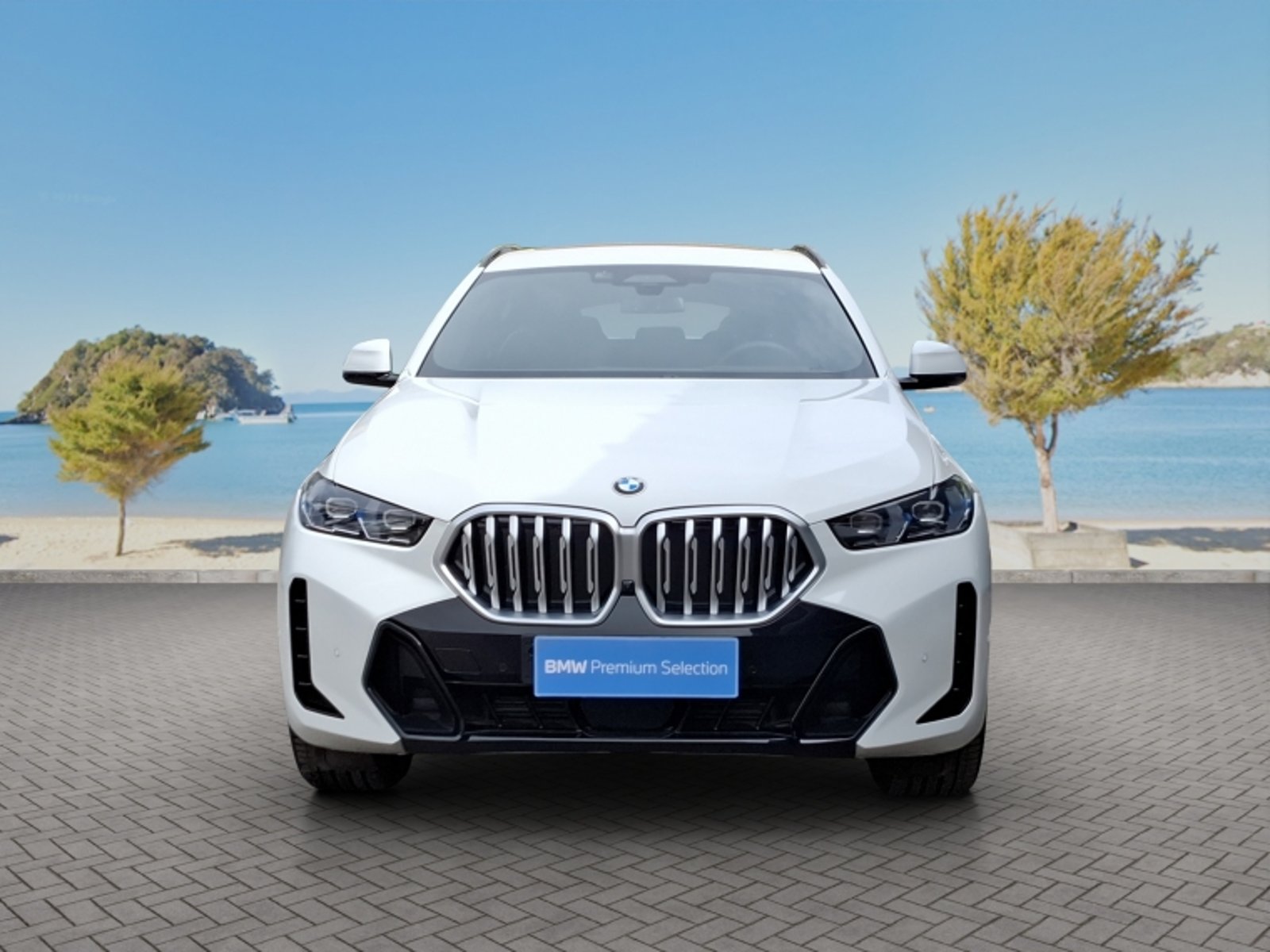 BMW X6 Xdrive40i M Sport 2026 - Foto 2 de 20