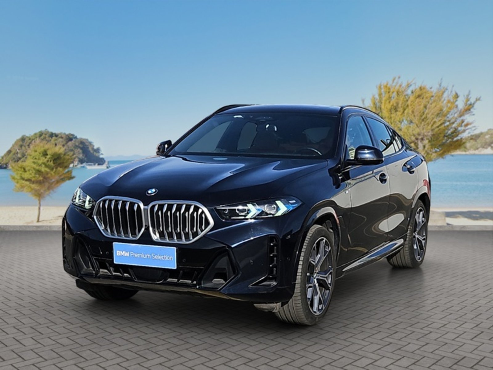 BMW X6 Xdrive 30d M Sport 4x4 3.0 Au… 2025 en Vitacura