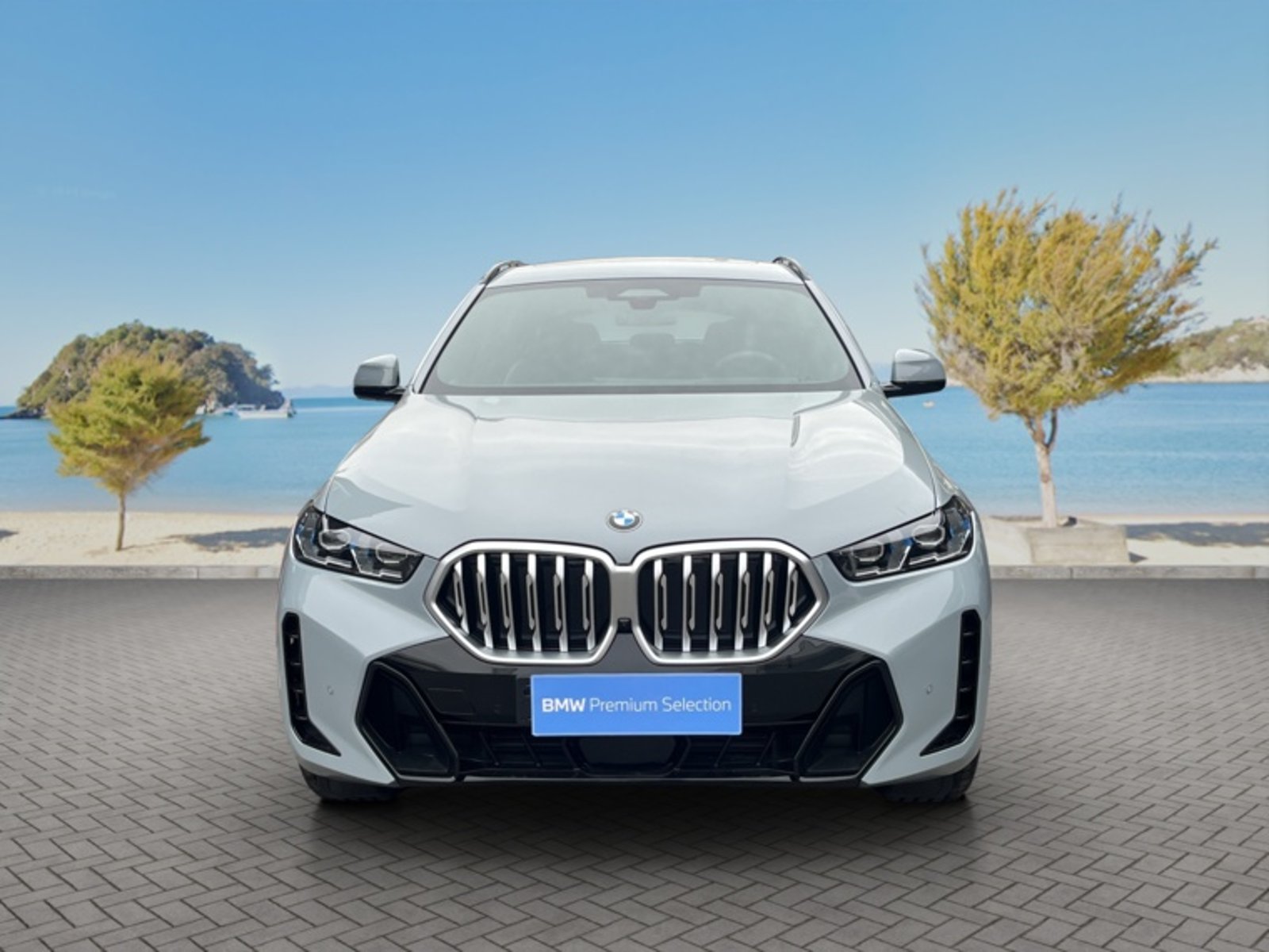 BMW X6 Xdrive 30d 4p 4x4 3.0 Aut 2026 - Foto 2 de 16