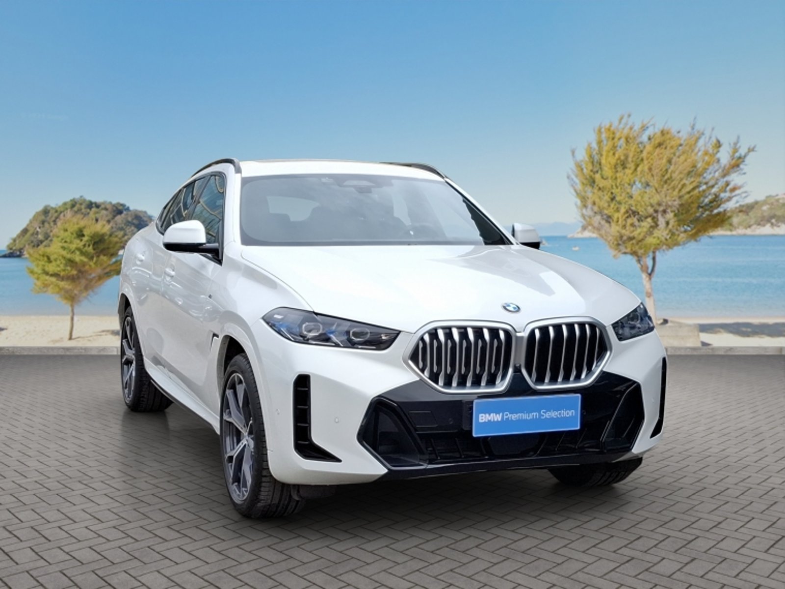 BMW X6 Xdrive40i M Sport 2026 - Foto 3 de 20