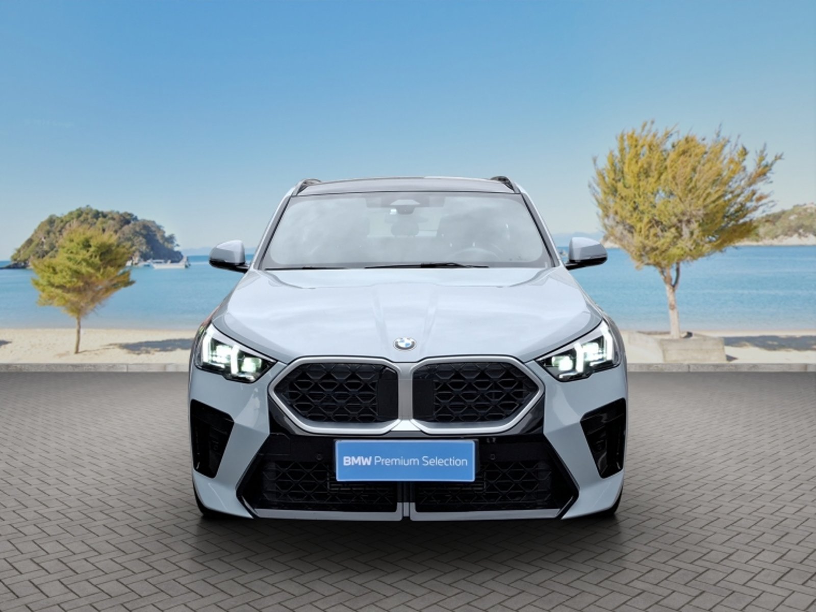 BMW X2 Xdrive 20i 2.0 Aut 2025 - Foto 2 de 20