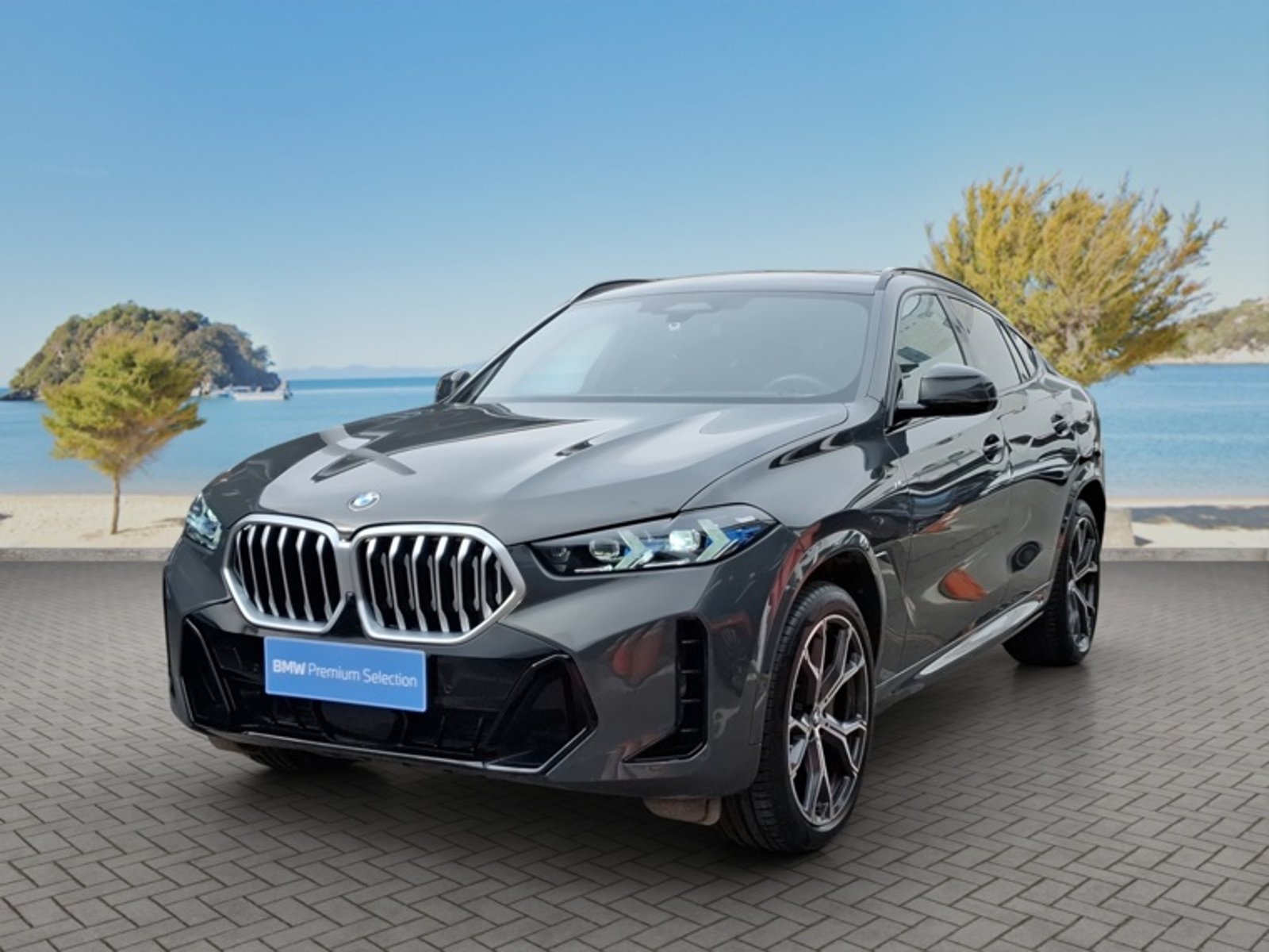 BMW X6 Xdrive 40i 5p 4x4 3.0 Aut 2026 en Vitacura