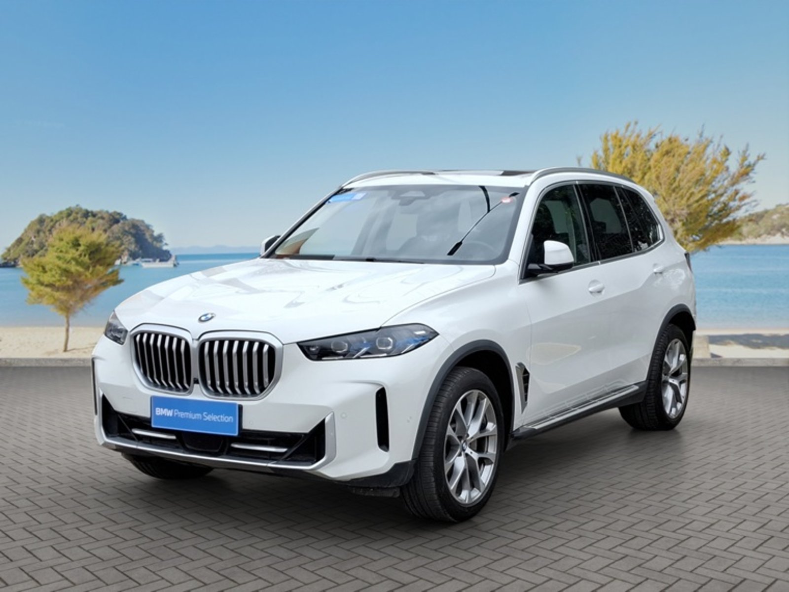BMW X5 Xdrive30d Xline Lci Awd 3.0 A… 2024