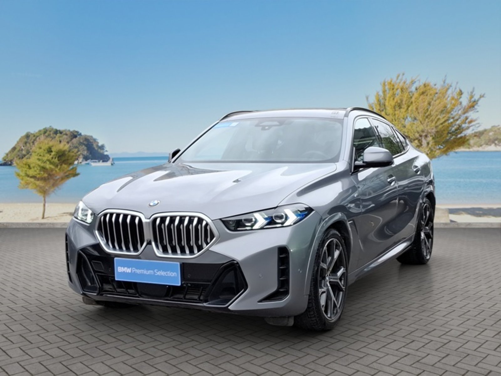 BMW X6 Xdrive 30d M Sport 4x4 3.0 Au… 2024 en Vitacura