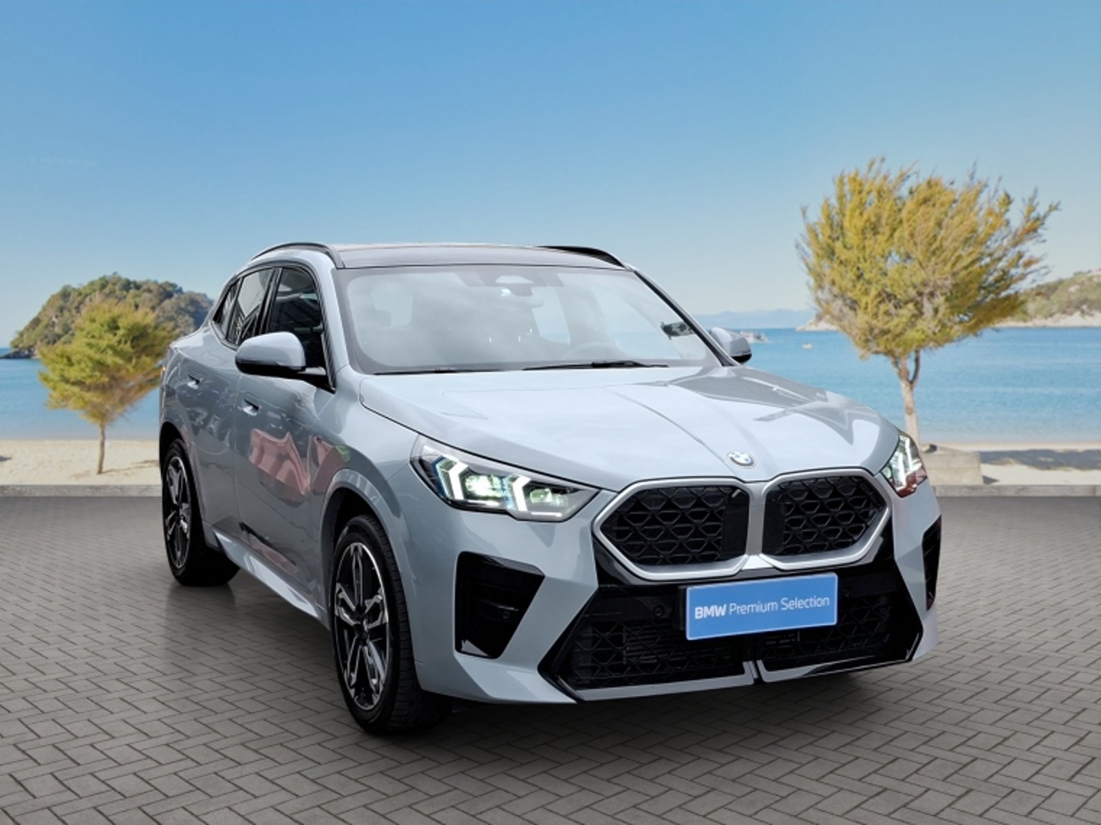 BMW X2 Xdrive 20i 2.0 Aut 2025 - Foto 3 de 20