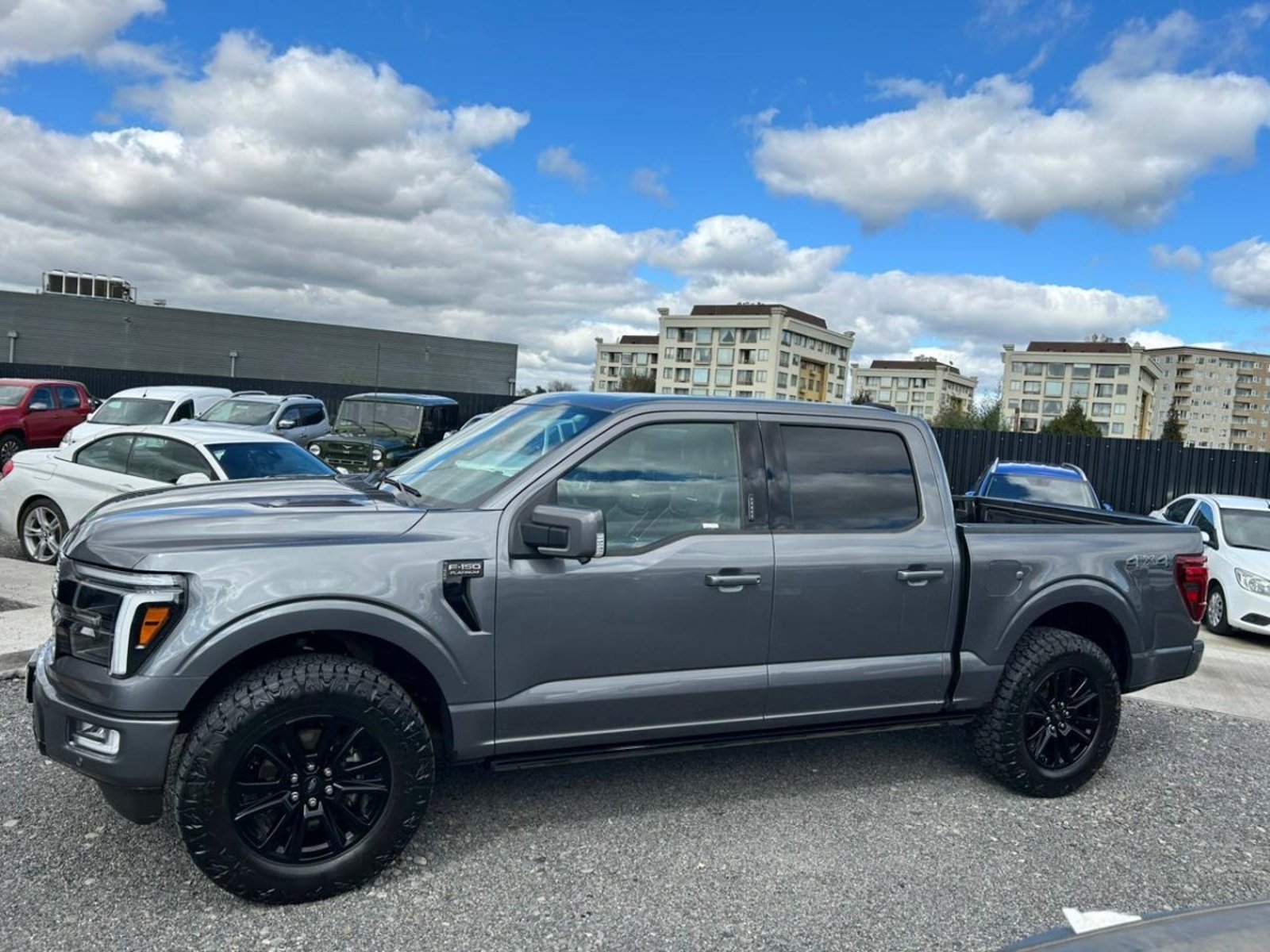 Ford F-150 PLATINIUM 4X4 3.5 AUT 2024 - Imagen 4 de 10