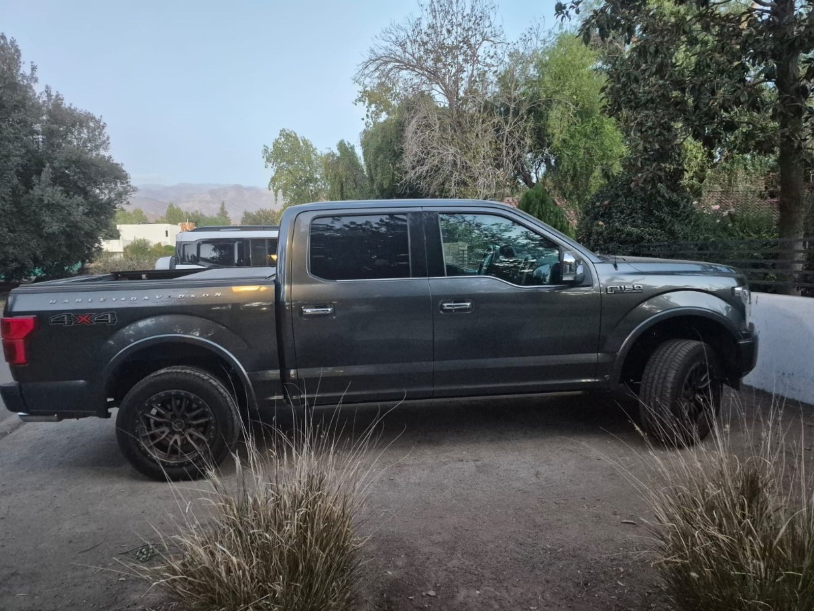 Ford F-150 3.5 Platinum Auto Ecoboost 4WD 2021 - Imagen 3 de 7