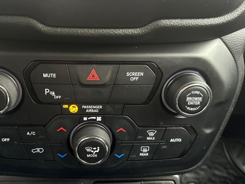 Jeep RENEGADE 2019 - Imagen 9 de 20