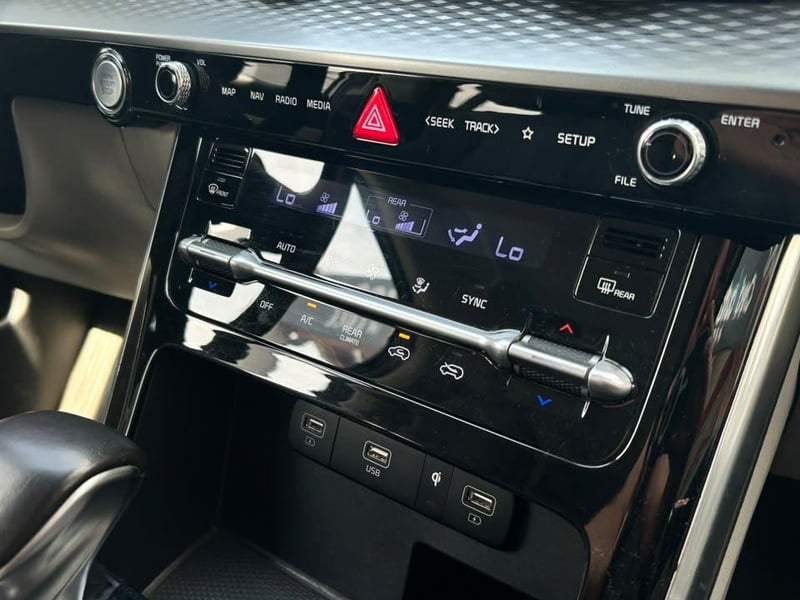 Kia CARNIVAL 2022 - Imagen 16 de 20