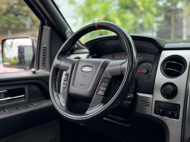 Ford F-150 RAPTOR 2015 - Imagen 13 de 20