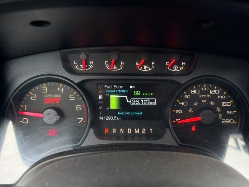 Ford F-150 RAPTOR 2015 - Imagen 12 de 20