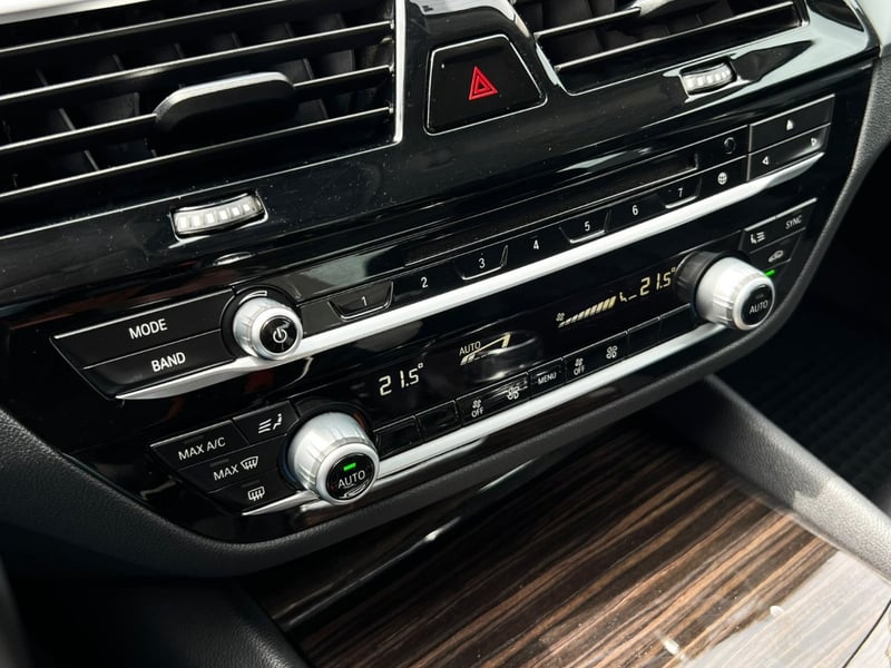 BMW 520I 2.0 TURBO 2019 - Imagen 17 de 20