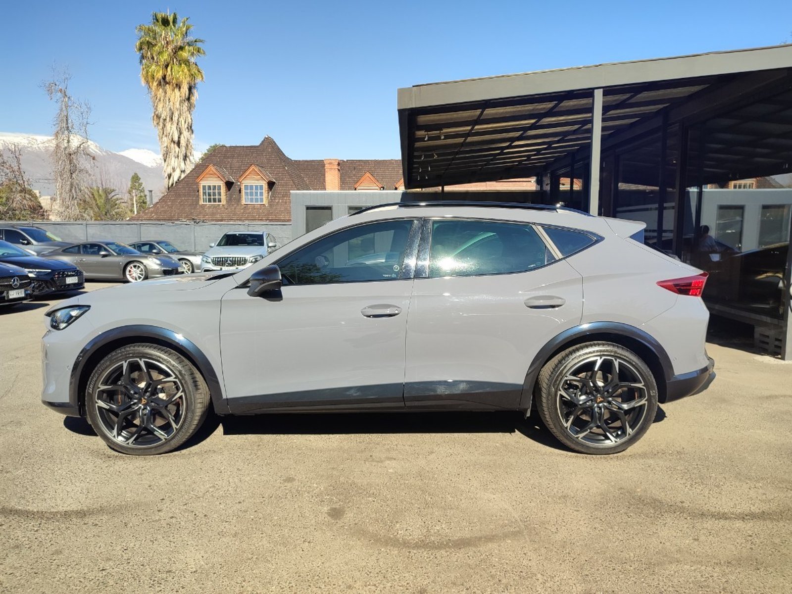 Cupra FORMENTOR VZ 2.0 TSI DSG 2025 - Foto 5 de 18