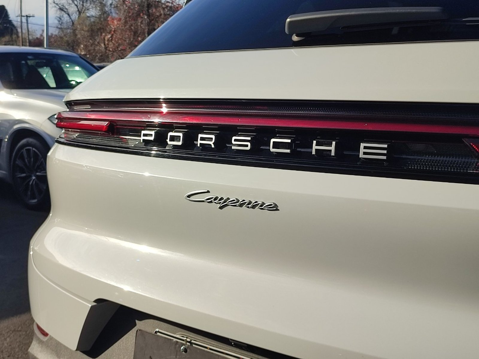 Porsche CAYENNE E3 II PLATINUM EDITION 3.0 4WD 2025 - Imagen 8 de 19