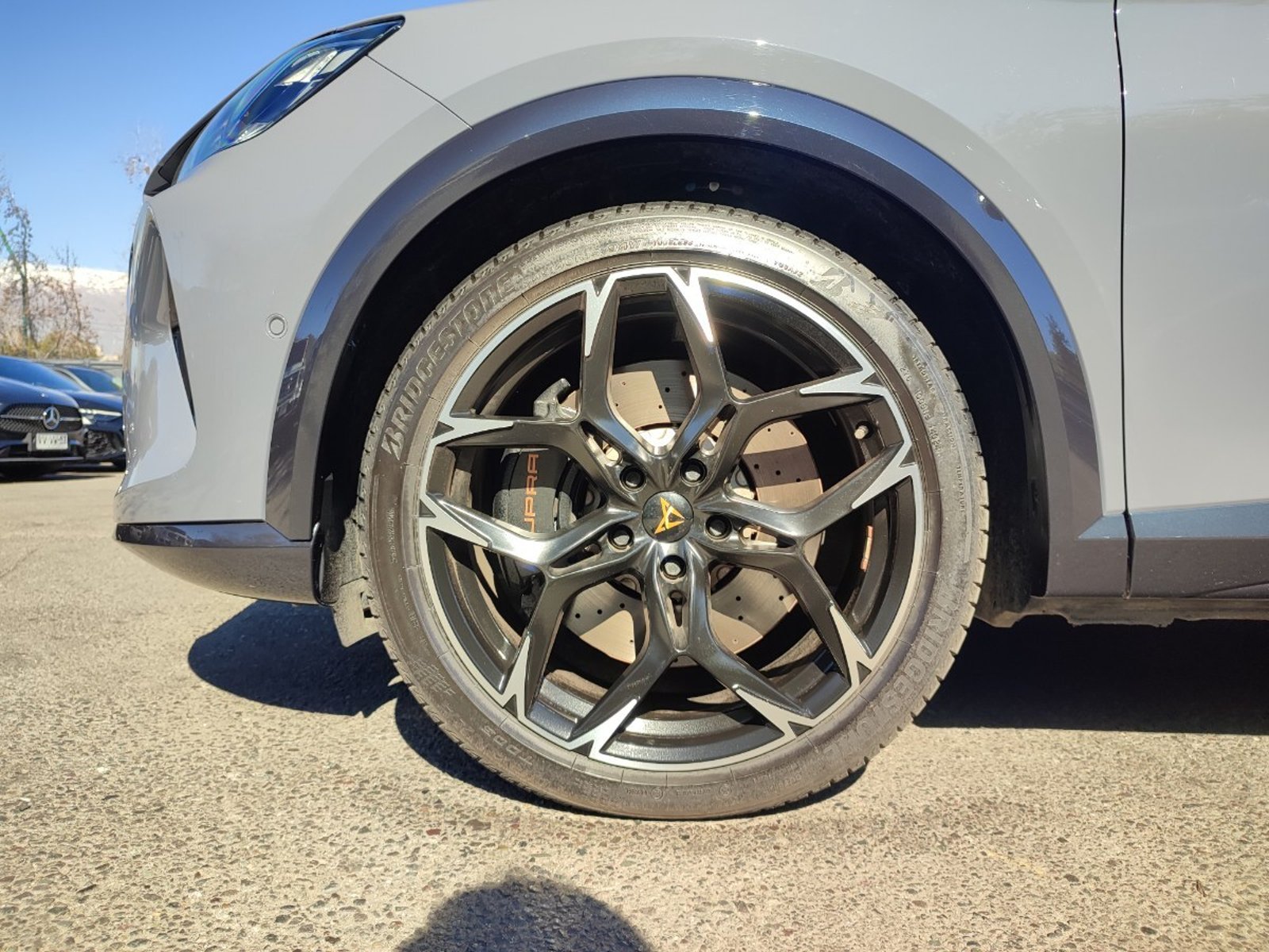 Cupra FORMENTOR VZ 2.0 TSI DSG 2025 - Foto 4 de 18