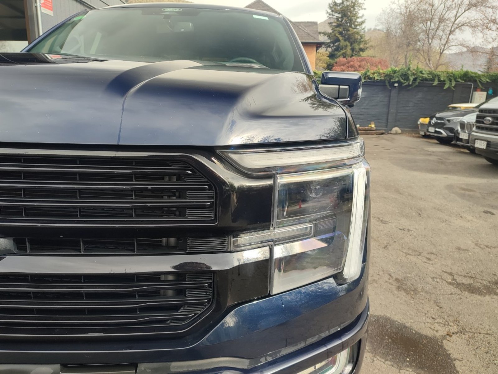 Ford F-150 PLATINUM 3.5 4X4 2025 - Foto 3 de 18