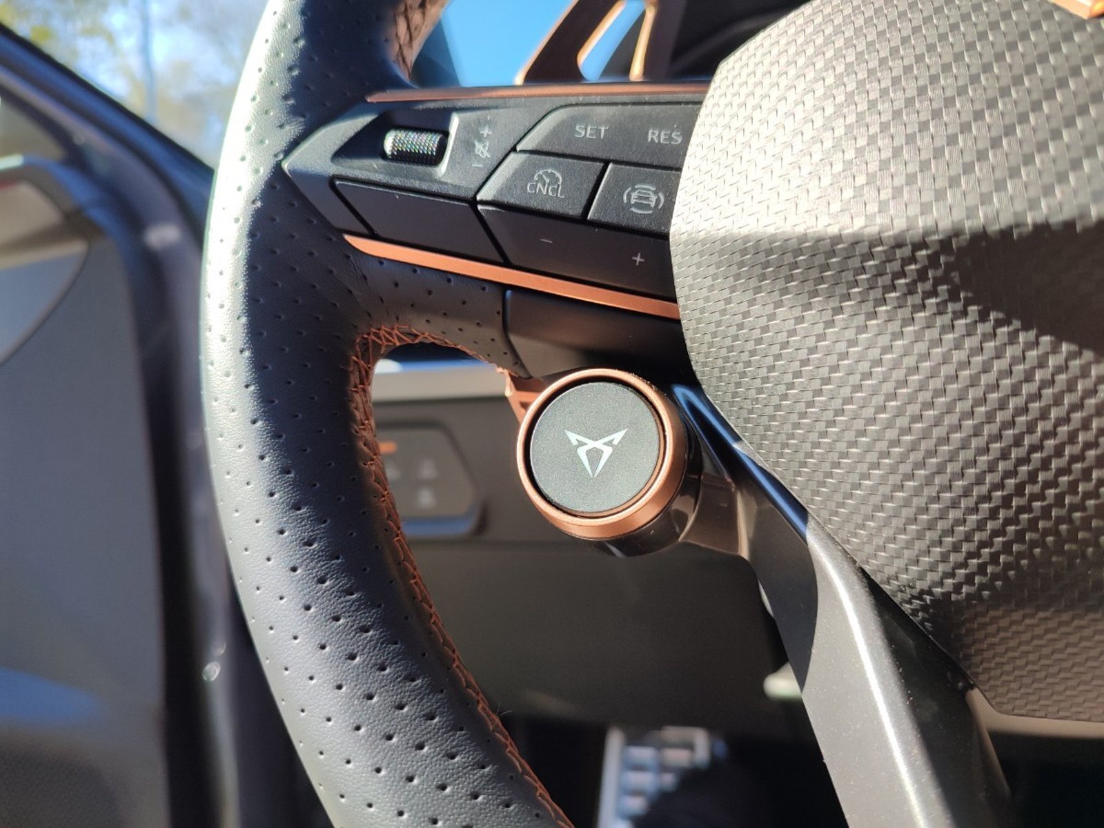 Cupra FORMENTOR VZ 2.0 TSI DSG 2025 - Imagen 16 de 18