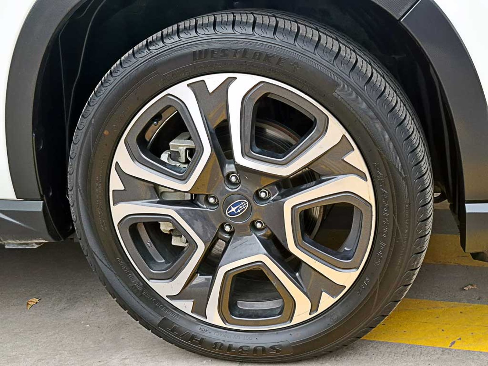 Subaru EVOLTIS (IN) 2.4 T LIMITED GARDX AT 4X4 2024 - Imagen 8 de 20