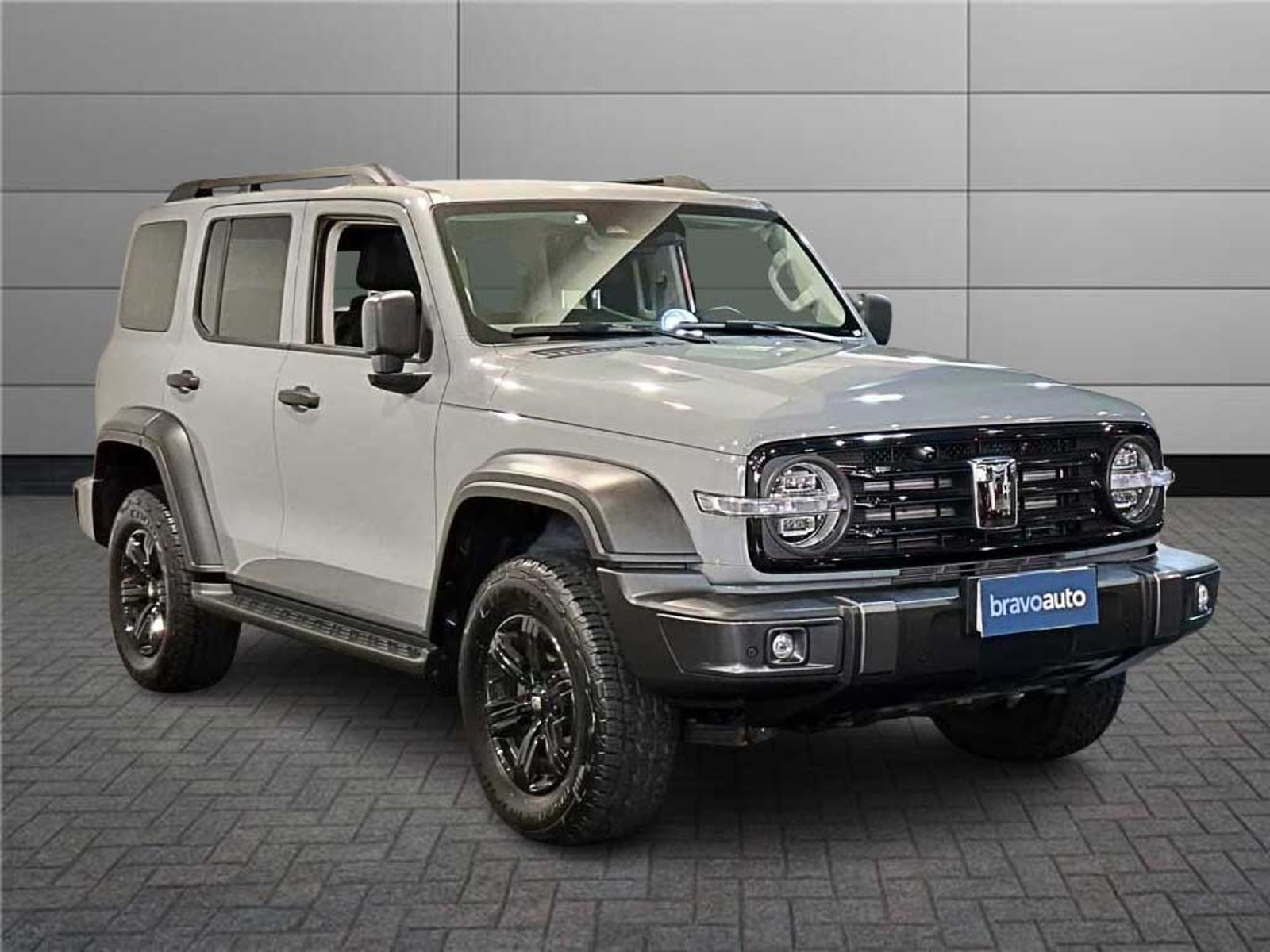 Great Wall TANK 300 TANK 300 2.0T 4WD LIMITED E6C 2026 - Foto 5 de 17