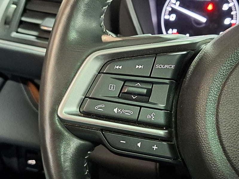 Subaru EVOLTIS 2.4 T TOURING GARDX AT 4X4 2024 - Imagen 17 de 20