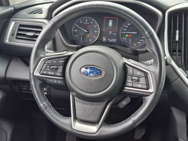 Subaru EVOLTIS 2.4 T LIMITED GARDX AT 4X4 2024 - Imagen 10 de 20