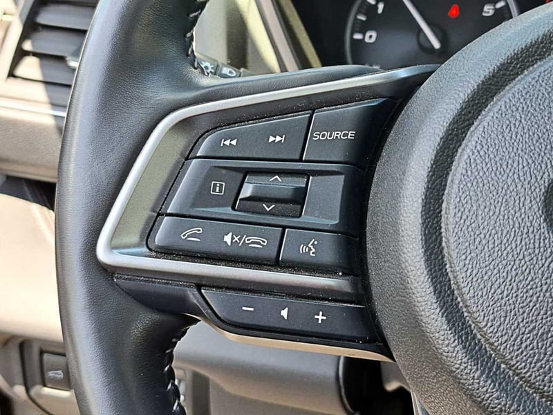 Subaru EVOLTIS 2.4 T TOURING GARDX AT 4X4 2024 - Imagen 10 de 20