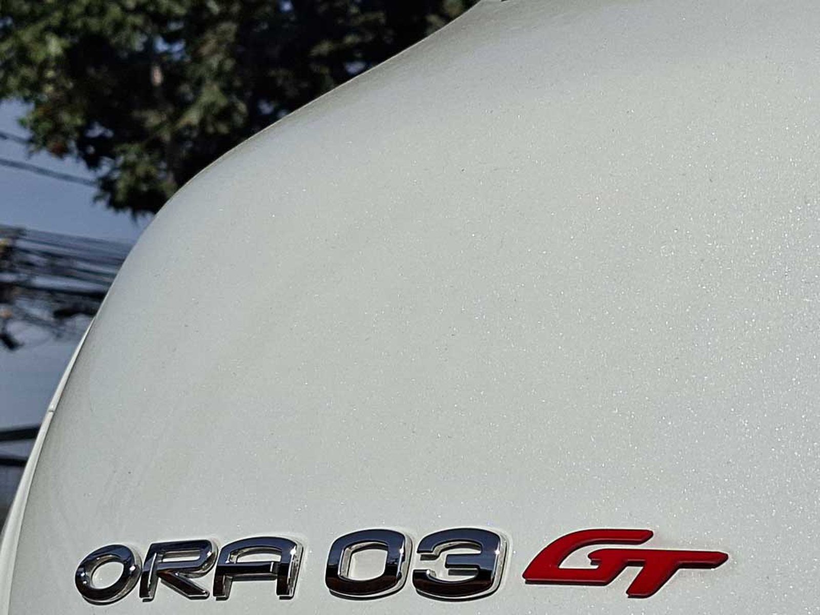 Great Wall ORA 03 (IN) 0.0 GT 2026 - Imagen 9 de 20