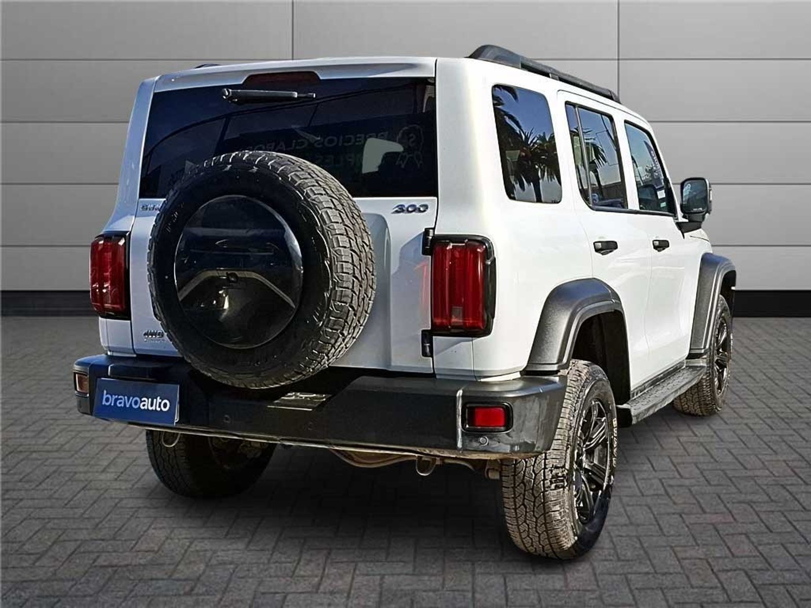GREAT WALL TANK 300 (IN) 2.0 T AT 4X4 2024 - Imagen 4 de 20