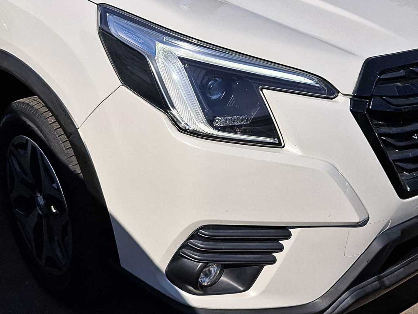 Subaru FORESTER 2.0i AWD CVT XS 2024 - Imagen 7 de 20