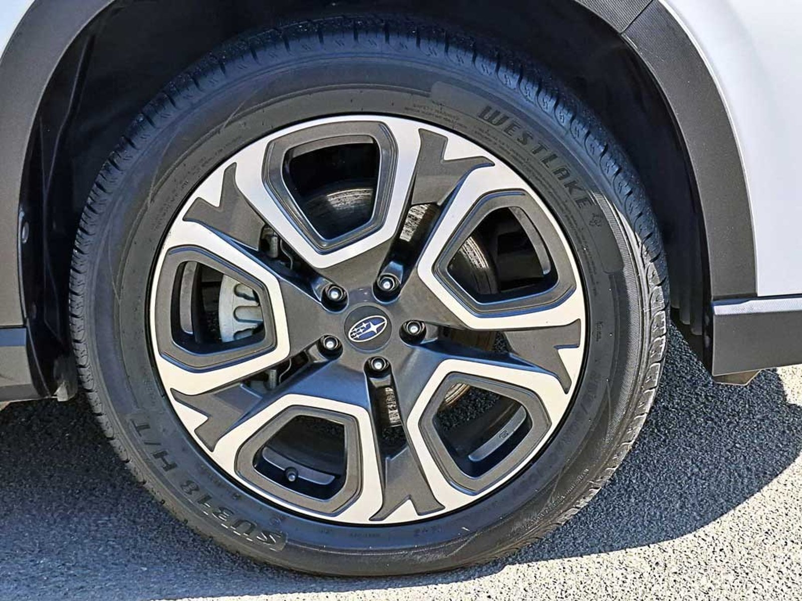 Subaru EVOLTIS 2.4 T LIMITED GARDX AT 4X4 2024 - Imagen 8 de 20