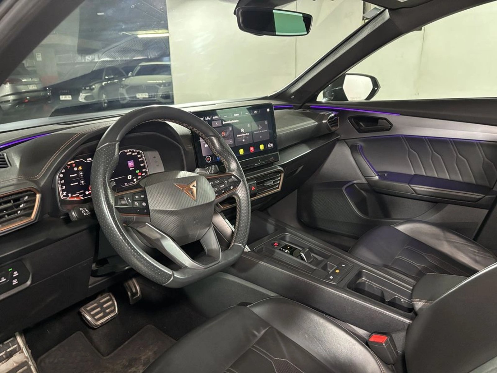 Cupra FORMENTOR VZ VZ 4DRIVE 2.0 AUT 2024 - Imagen 11 de 18