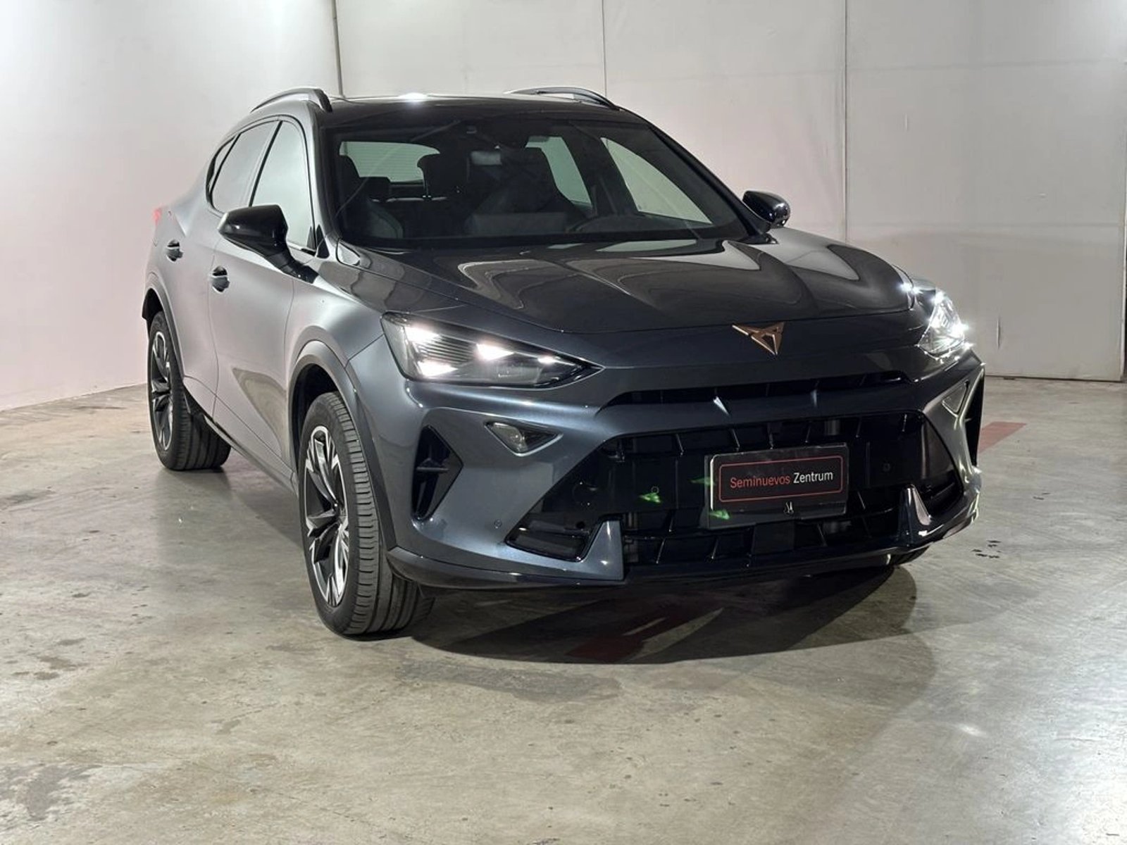 Cupra FORMENTOR 2.0 TSI AT 4Drive 2025 - Imagen 3 de 20