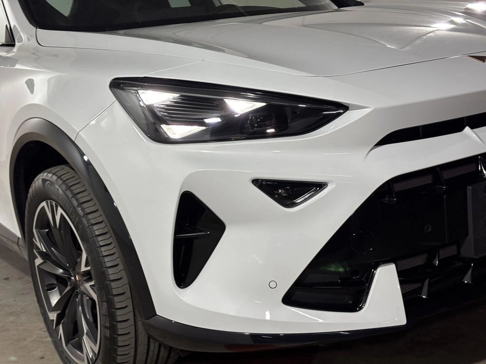 CUPRA FORMENTOR 2.0 TSI AT 4Drive 2026 - Foto 4 de 18