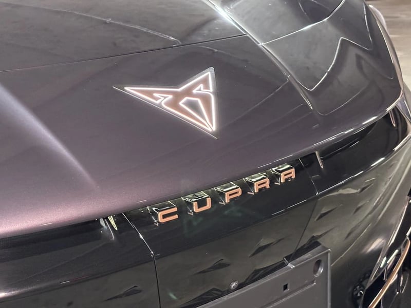 Cupra TAVASCAN ELECTRICO 2026 - Imagen 5 de 19