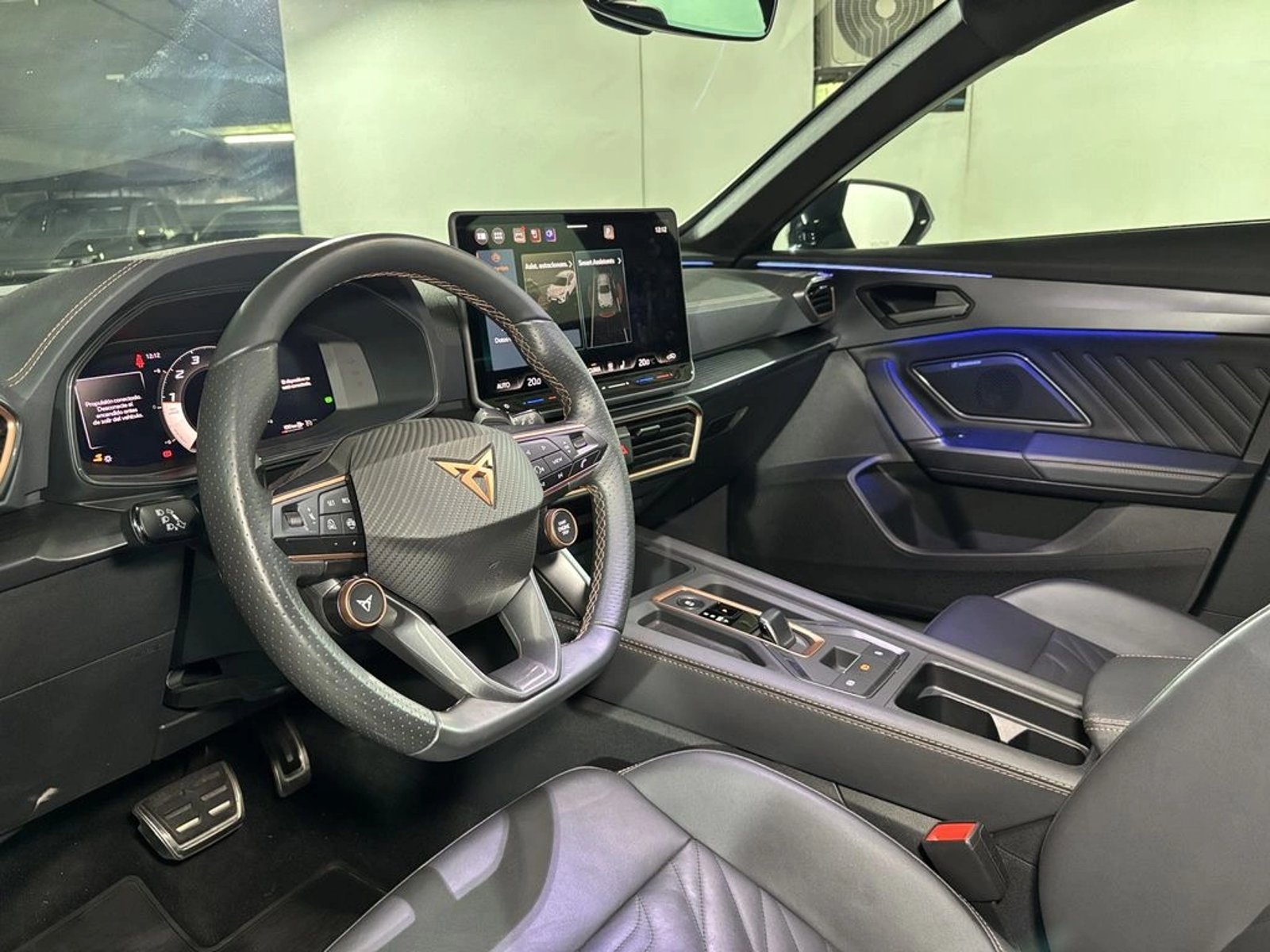 Cupra FORMENTOR 2.0 TSI AT 4Drive 2025 - Imagen 14 de 20