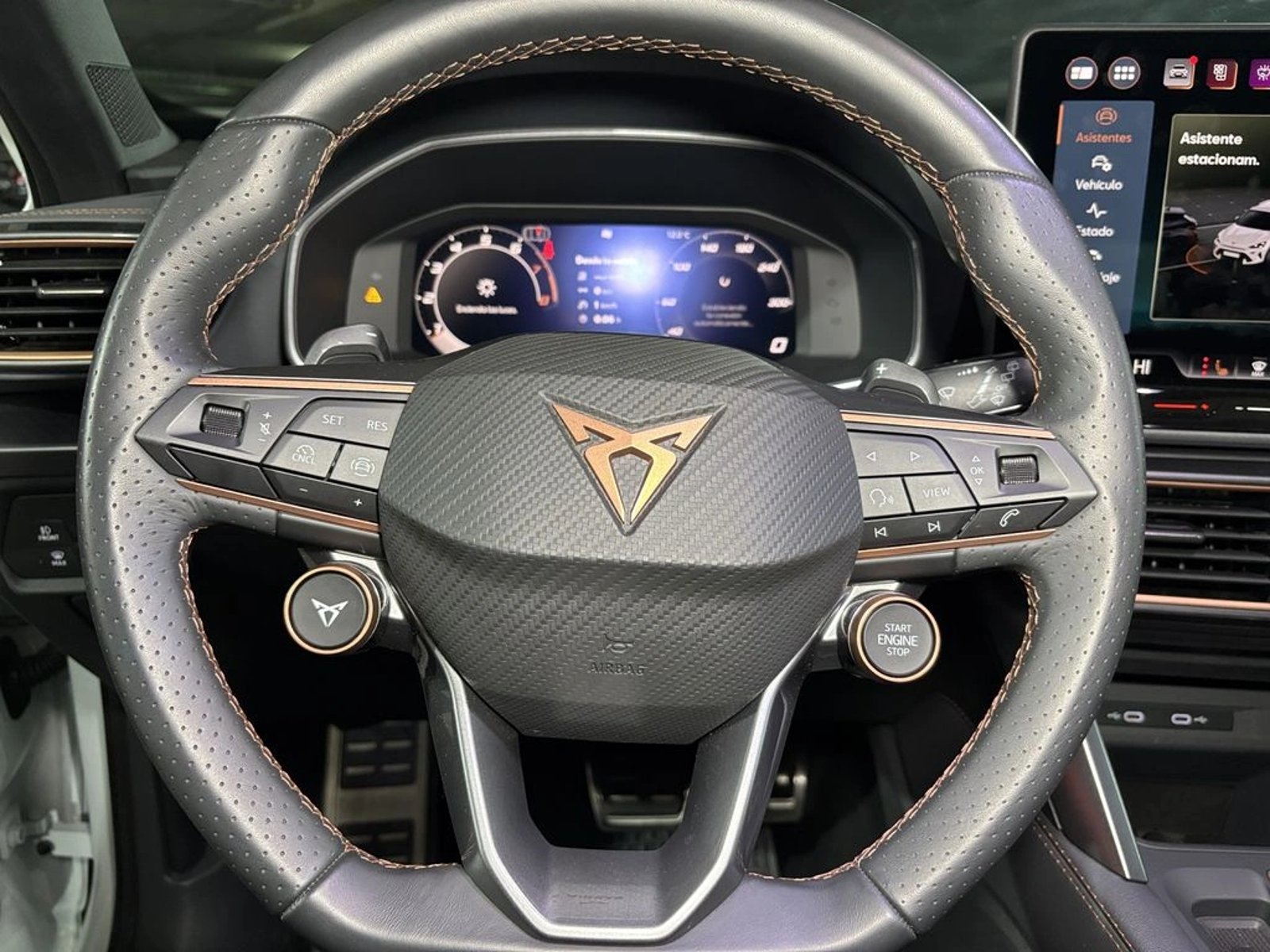 CUPRA FORMENTOR 2.0 TSI AT 4Drive 2026 - Imagen 15 de 18