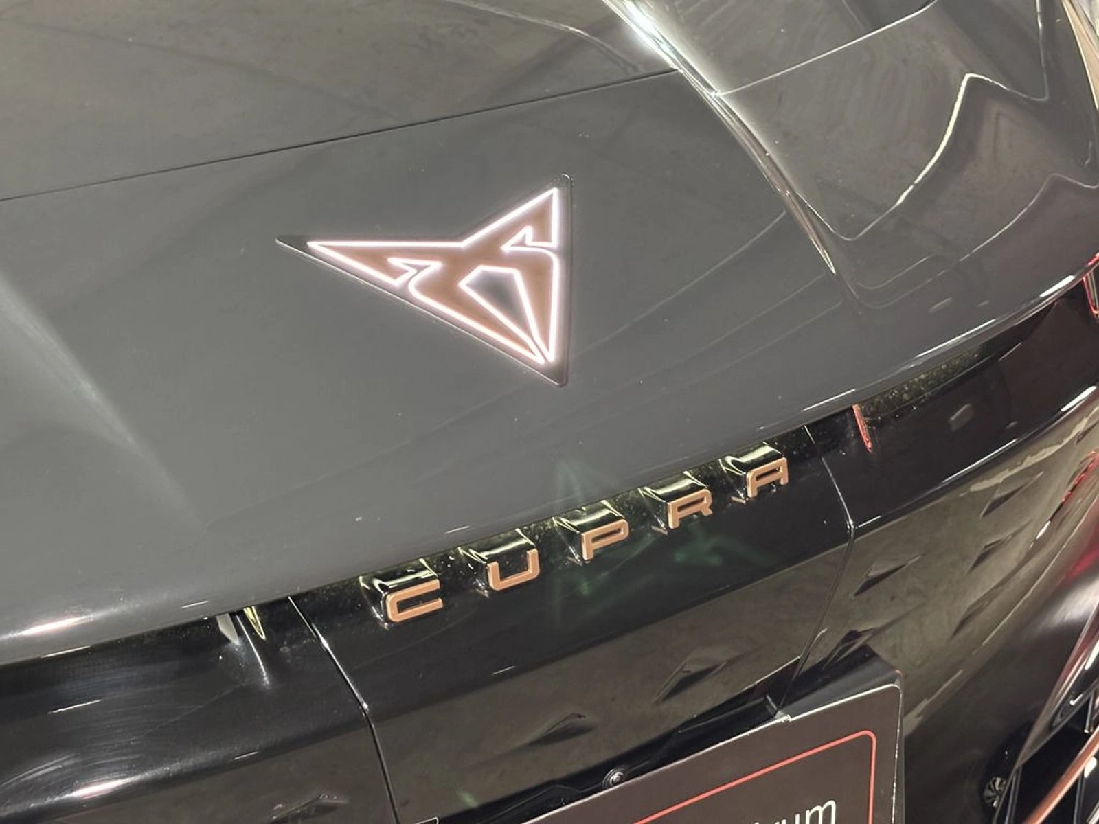 Cupra TAVASCAN Adrenaline 82 kWh 2026 - Imagen 5 de 20