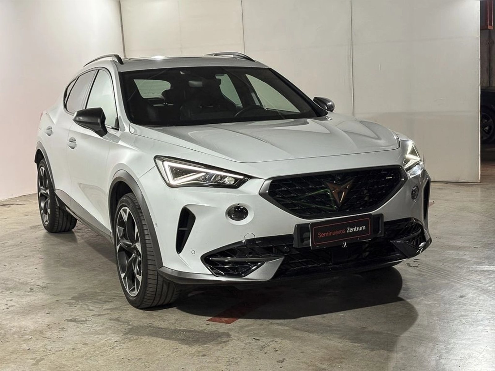 CUPRA FORMENTOR VZ 4DRIVE 4X4 2.0 AUT 2024 - Foto 3 de 16