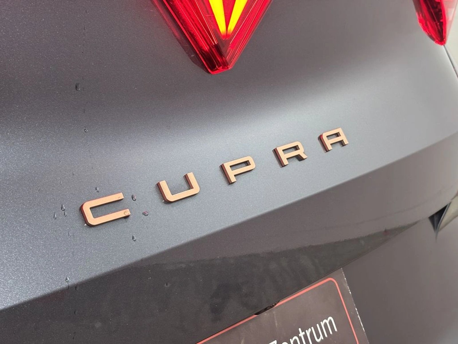 Cupra FORMENTOR 2.0 TSI AT 4Drive 2025 - Imagen 8 de 20