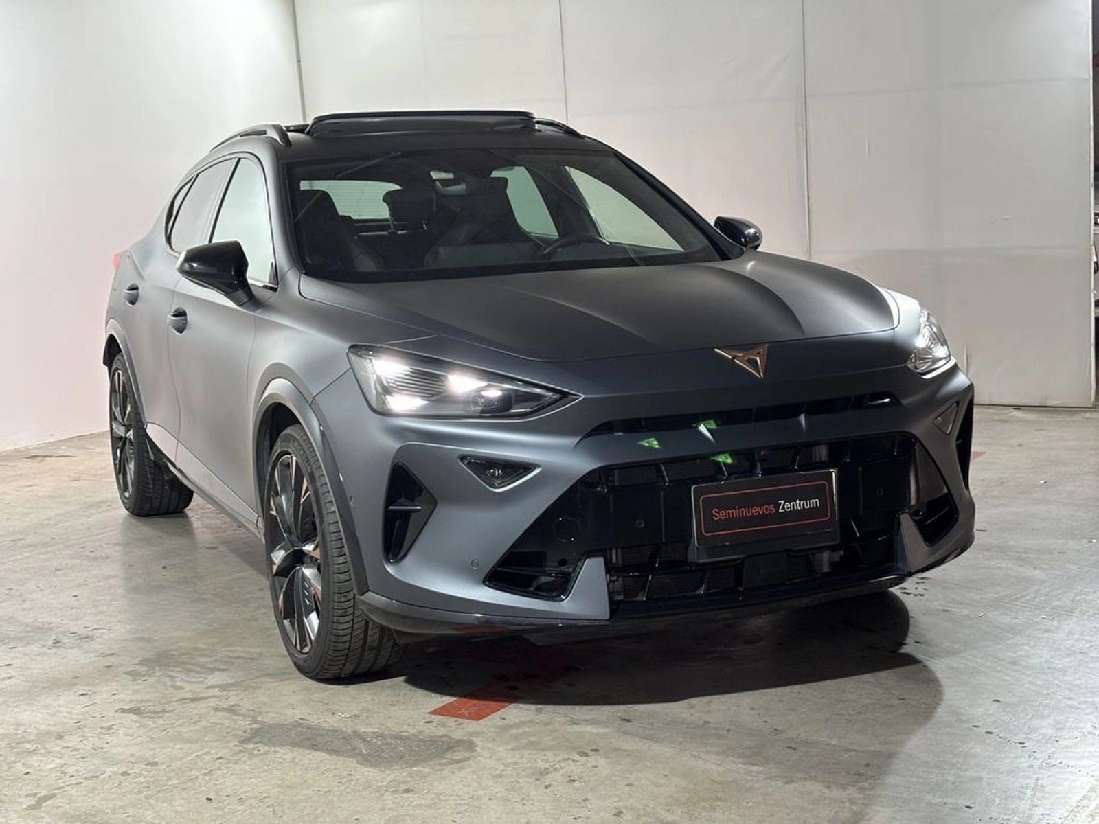 Cupra FORMENTOR VZ VZ 2.0 TSI AT 4Drive - 245 kW/333 CV 2025 - Imagen 3 de 19