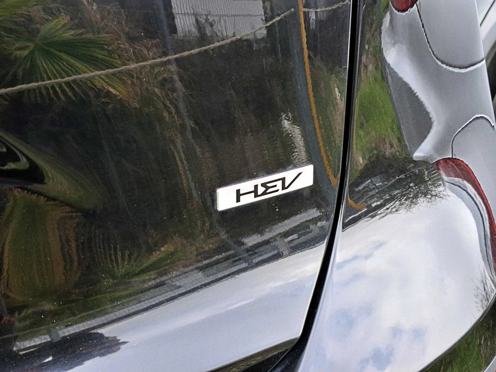 Kia NIRO HEV 1.6 2024 - Imagen 6 de 16
