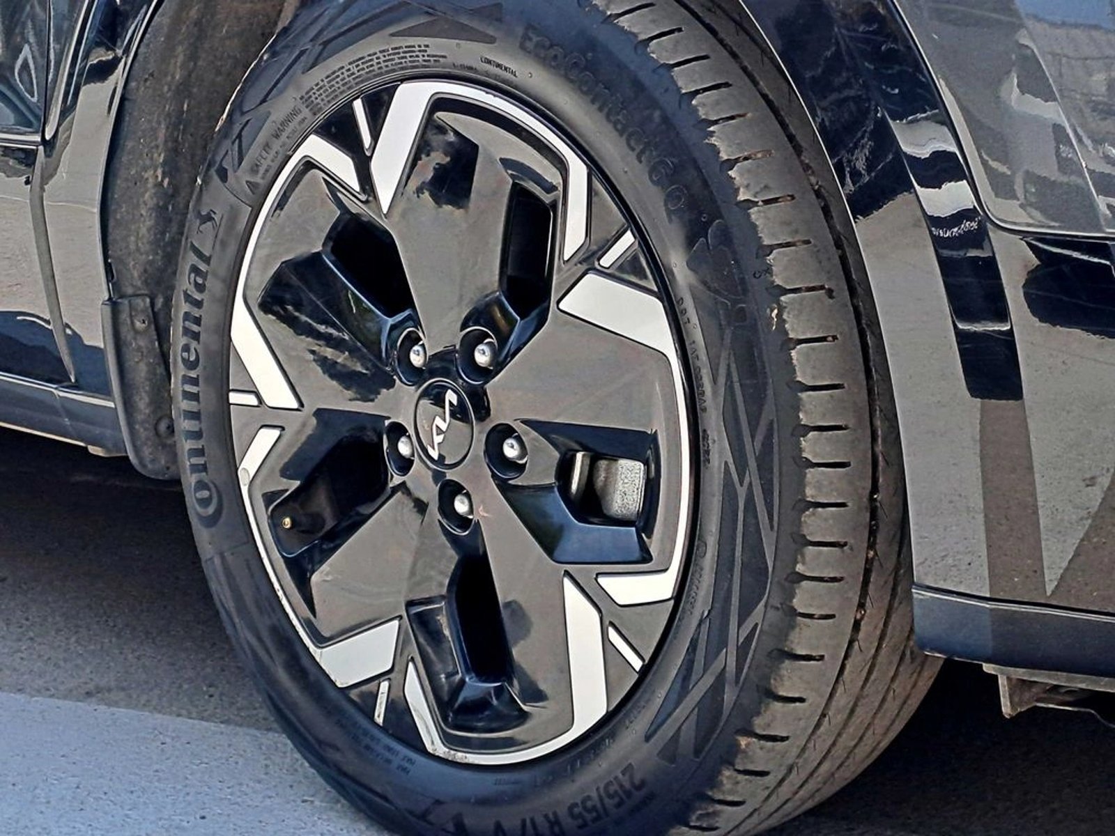 Kia NIRO EV AT 2023 - Foto 4 de 16